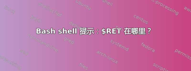 Bash shell 提示：$RET 在哪里？