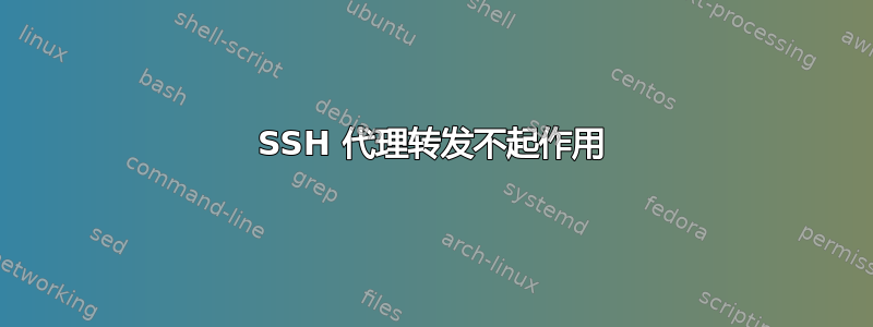 SSH 代理转发不起作用