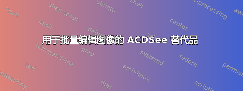 用于批量编辑图像的 ACDSee 替代品