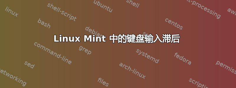 Linux Mint 中的键盘输入滞后