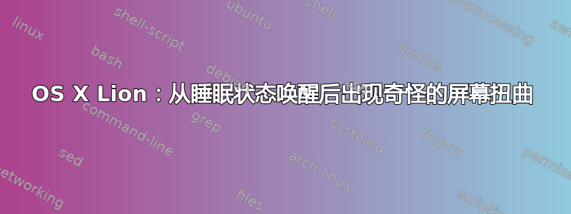 OS X Lion：从睡眠状态唤醒后出现奇怪的屏幕扭曲