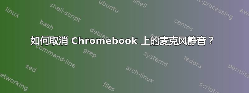 如何取消 Chromebook 上的麦克风静音？