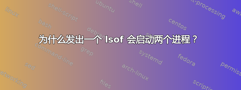 为什么发出一个 lsof 会启动两个进程？