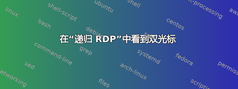 在“递归 RDP”中看到双光标