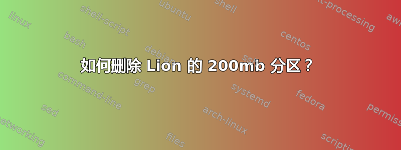 如何删除 Lion 的 200mb 分区？