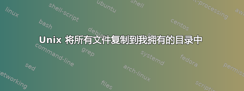 Unix 将所有文件复制到我拥有的目录中