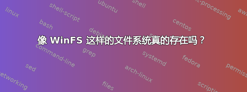 像 WinFS 这样的文件系统真的存在吗？