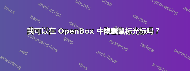 我可以在 OpenBox 中隐藏鼠标光标吗？