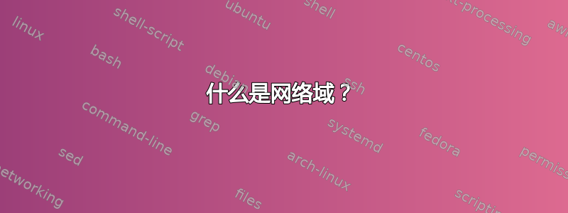 什么是网络域？