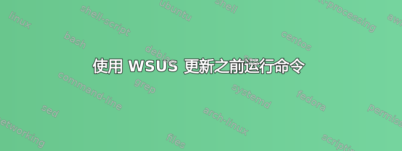 使用 WSUS 更新之前运行命令