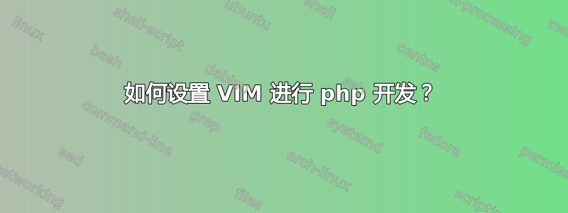 如何设置 VIM 进行 php 开发？