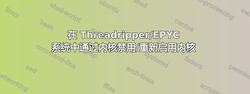 在 Threadripper/EPYC 系统中通过内核禁用/重新启用内核