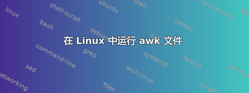 在 Linux 中运行 awk 文件