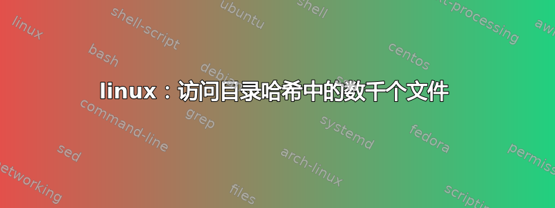 linux：访问目录哈希中的数千个文件