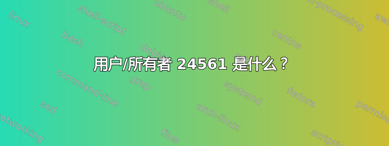 用户/所有者 24561 是什么？