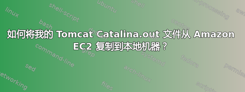 如何将我的 Tomcat Catalina.out 文件从 Amazon EC2 复制到本地机器？