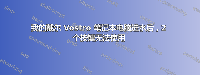 我的戴尔 Vostro 笔记本电脑进水后，2 个按键无法使用