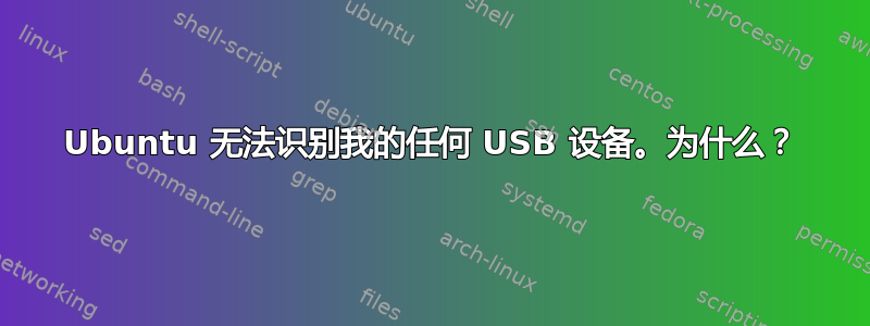 Ubuntu 无法识别我的任何 USB 设备。为什么？