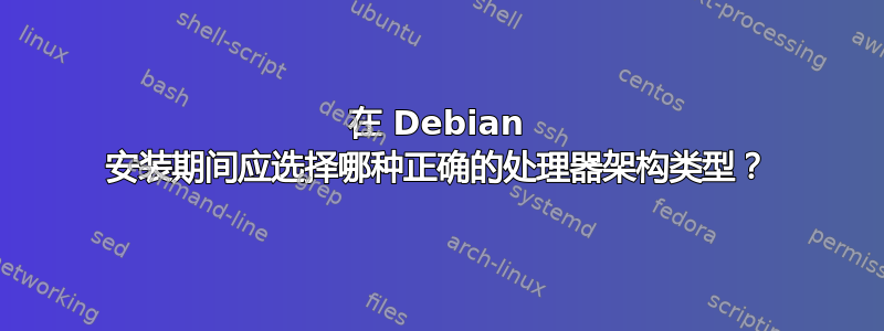 在 Debian 安装期间应选择哪种正确的处理器架构类型？