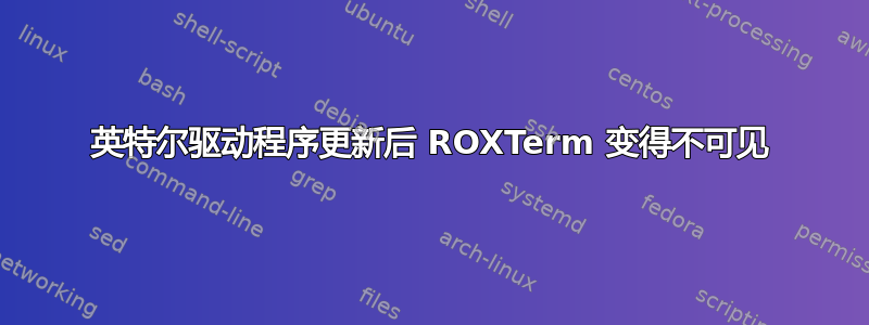 英特尔驱动程序更新后 ROXTerm 变得不可见