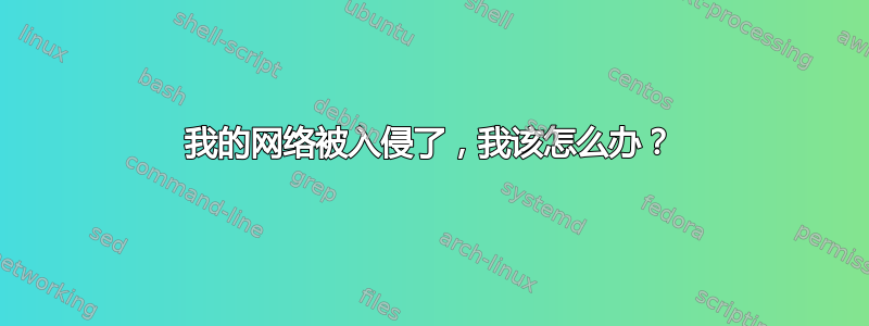 我的网络被入侵了，我该怎么办？