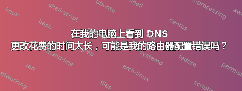 在我的电脑上看到 DNS 更改花费的时间太长，可能是我的路由器配置错误吗？