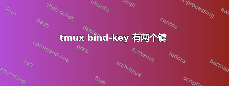 tmux bind-key 有两个键