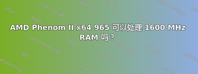 AMD Phenom II x64 965 可以处理 1600 MHz RAM 吗？