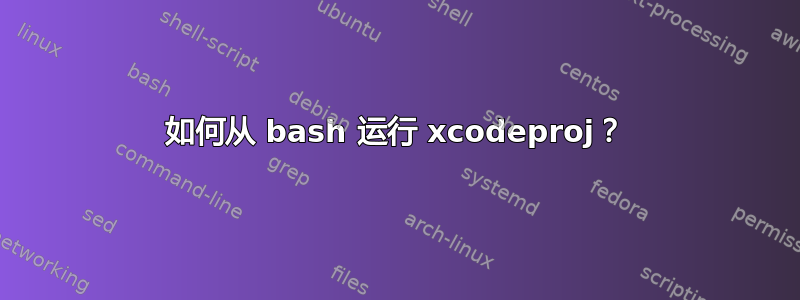 如何从 bash 运行 xcodeproj？