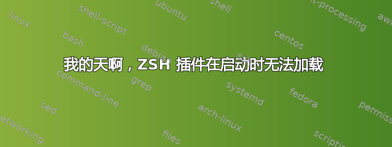 我的天啊，ZSH 插件在启动时无法加载