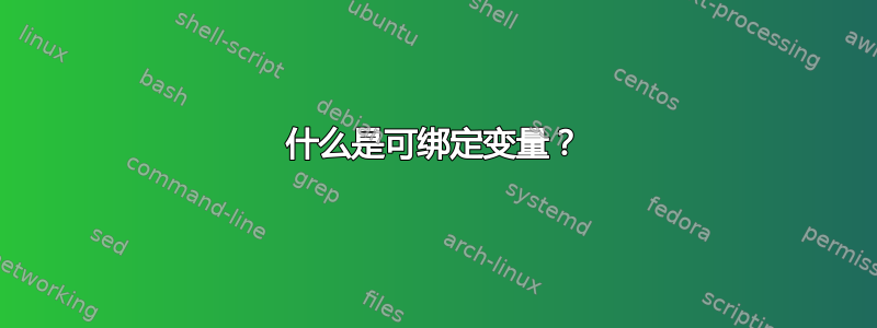 什么是可绑定变量？