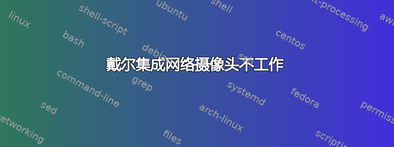 戴尔集成网络摄像头不工作