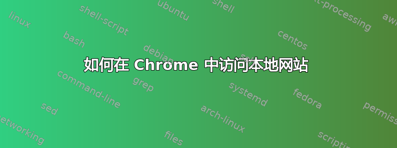 如何在 Chrome 中访问本地网站