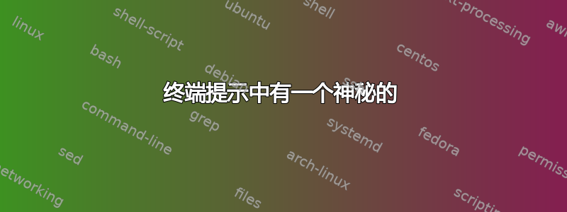 终端提示中有一个神秘的