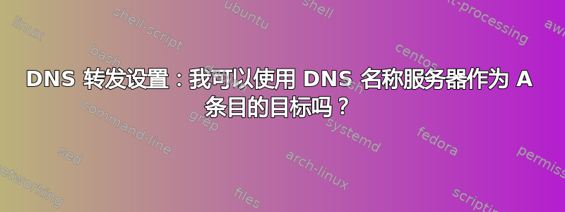 DNS 转发设置：我可以使用 DNS 名称服务器作为 A 条目的目标吗？