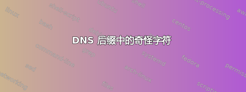 DNS 后缀中的奇怪字符