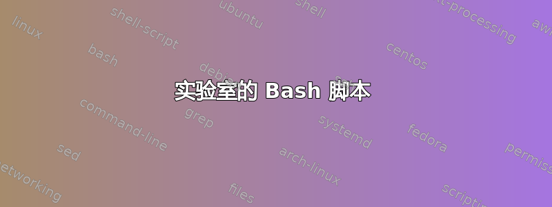 实验室的 Bash 脚本