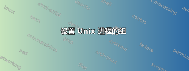 设置 Unix 进程的组