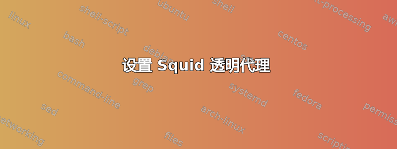 设置 Squid 透明代理