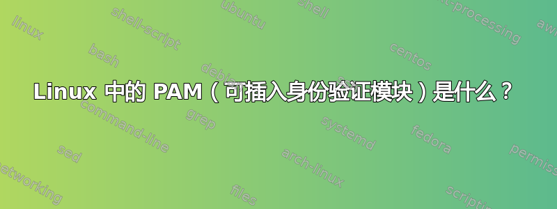 Linux 中的 PAM（可插入身份验证模块）是什么？