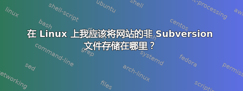 在 Linux 上我应该将网站的非 Subversion 文件存储在哪里？