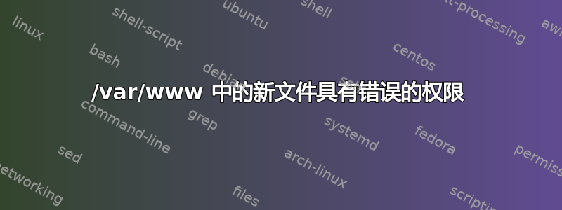 /var/www 中的新文件具有错误的权限