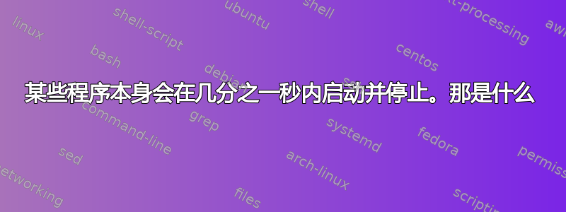 某些程序本身会在几分之一秒内启动并停止。那是什么