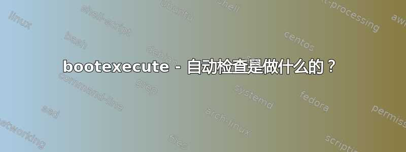 bootexecute - 自动检查是做什么的？