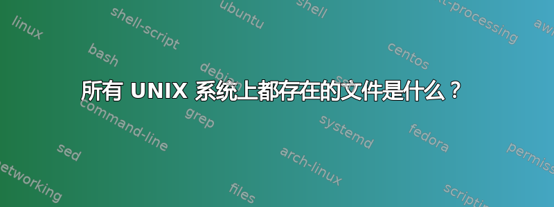 所有 UNIX 系统上都存在的文件是什么？