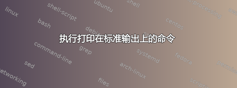 执行打印在标准输出上的命令