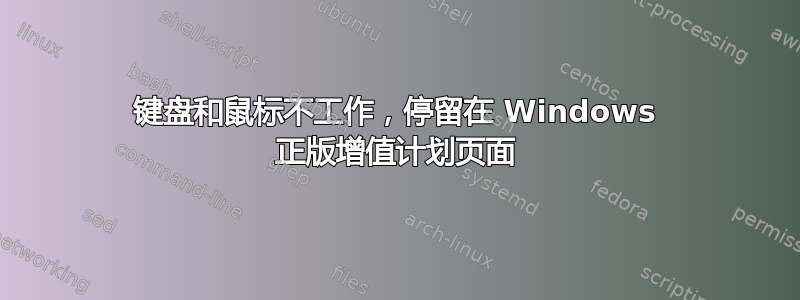 键盘和鼠标不工作，停留在 Windows 正版增值计划页面