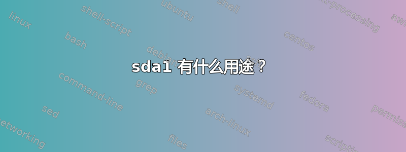 sda1 有什么用途？