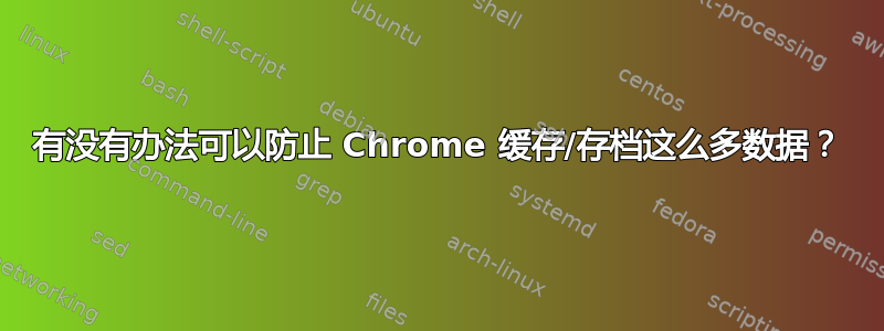 有没有办法可以防止 Chrome 缓存/存档这么多数据？