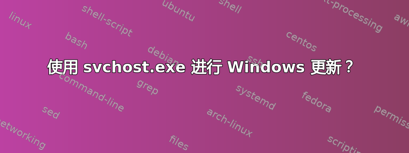 使用 svchost.exe 进行 Windows 更新？